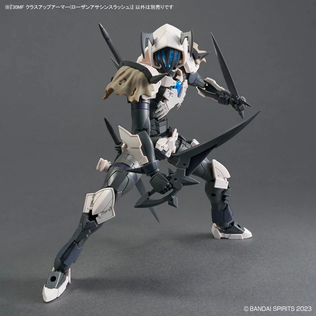30MF A-12 Class Up Armor (Rosan Assassin Slash) - Image 3