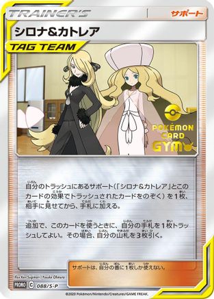 [JP] Cynthia & Caitlin - 088/S-P (088/S-P) - SP Sword  Shield Promos Holofoil