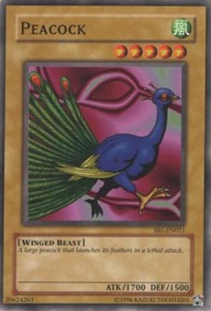 undefined (SRL-011) - Spell Ruler Unlimited